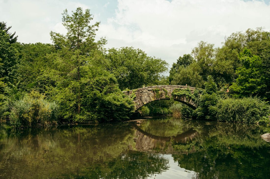 gapstow bridge by robert mangelmann | 20220708nyc_032