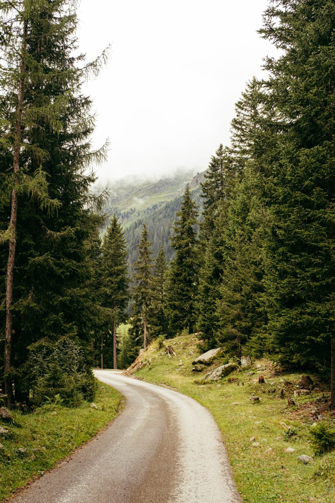 forest path by robert mangelmann | 20220808oberstalleralm_113