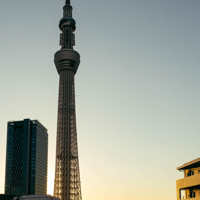 good night skytree by robert mangelmann | 20231121toyko_082