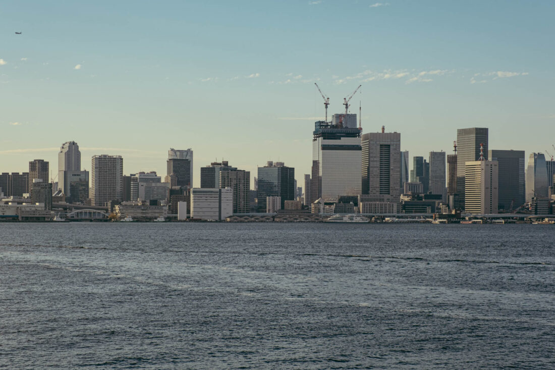 tokyo skyline by robert mangelmann | 20231123tokyo_150