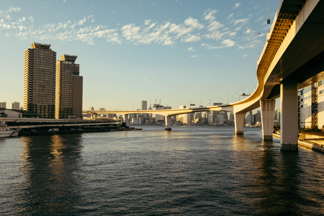 tokyo rainbow bridge by robert mangelmann | 20231123tokyo_241