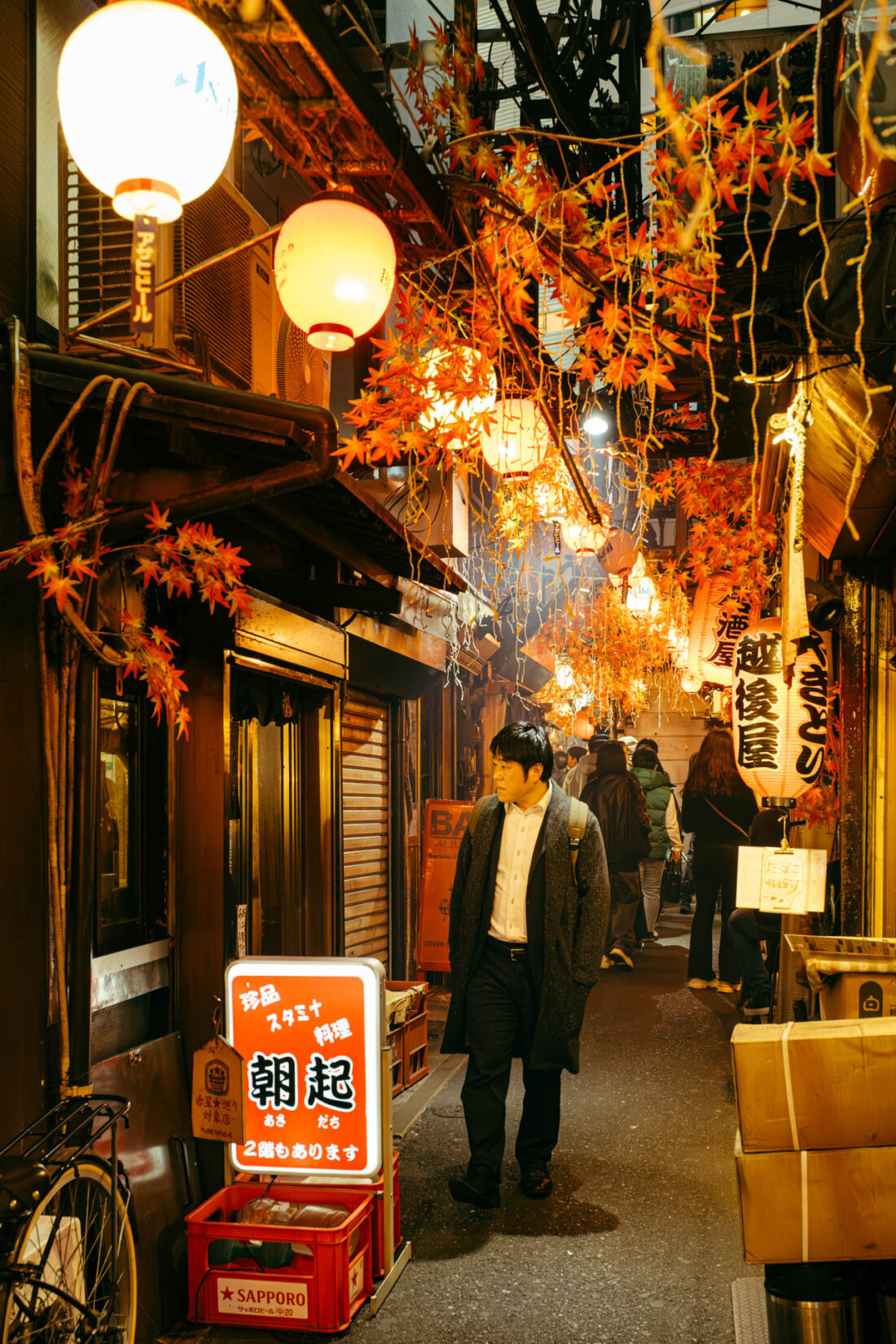 omoide yokocho iv by robert mangelmann | 20231124tokyo_0179