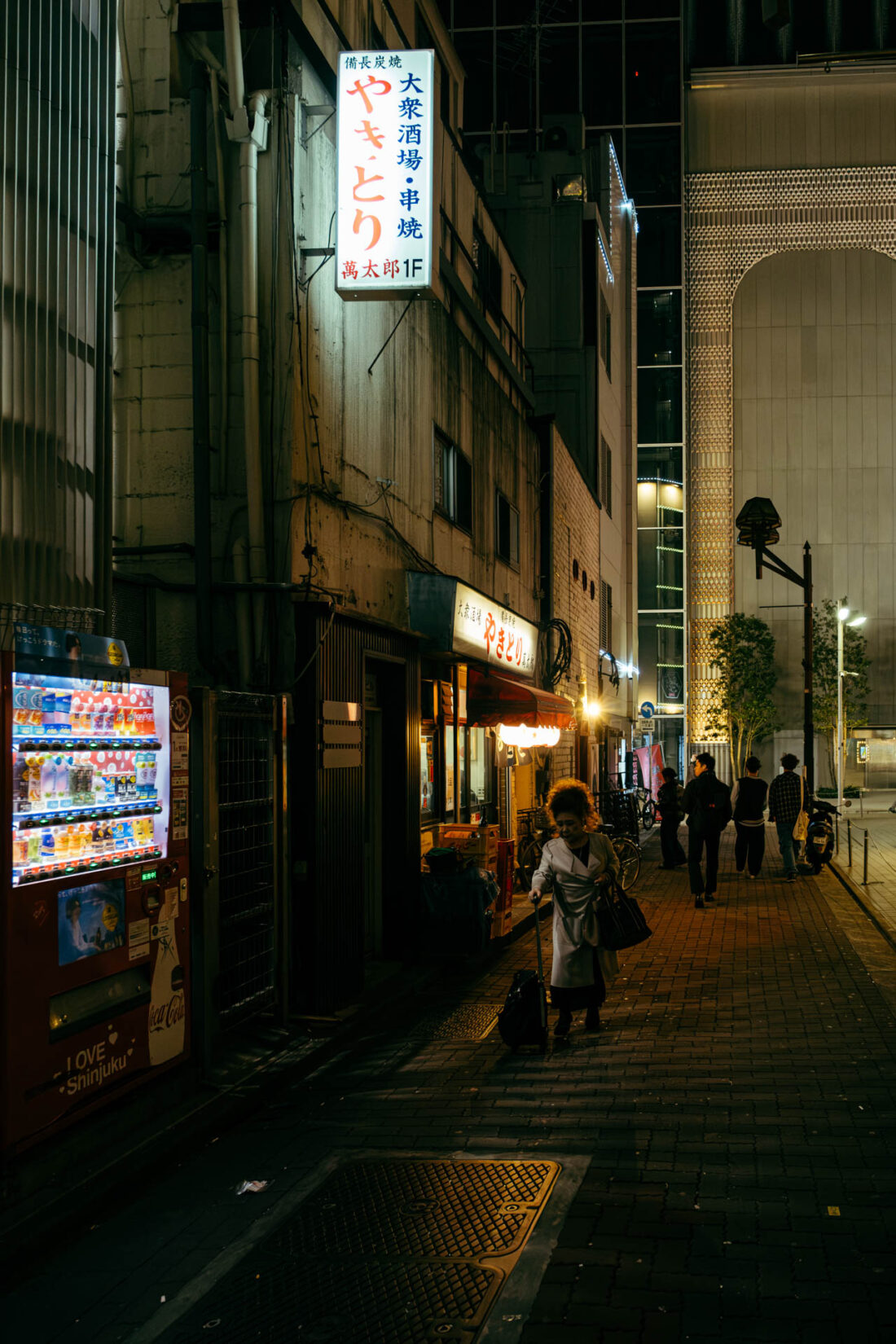 traveling lady by robert mangelmann | 20231124tokyo_0713