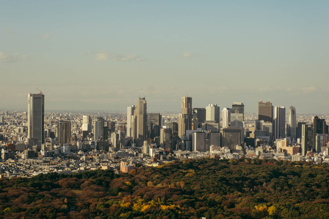 tokyo from above iv by robert mangelmann | 20231129tokyo_049