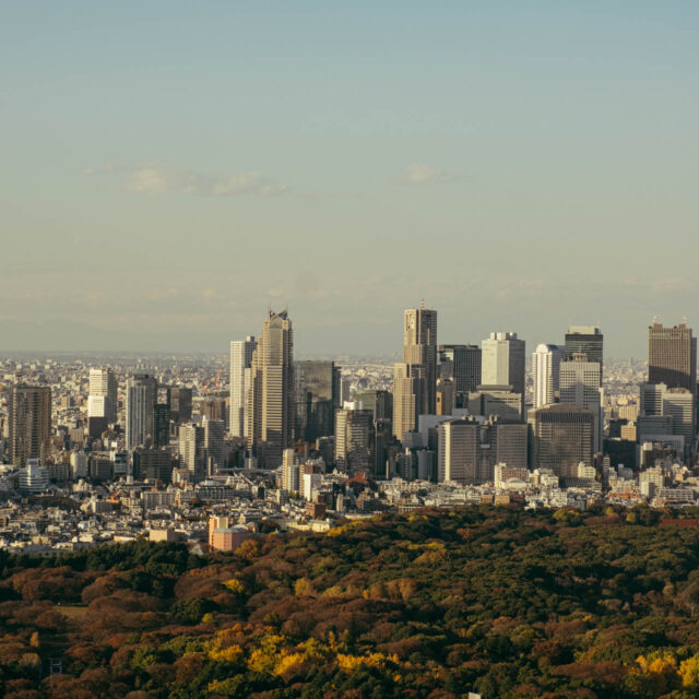 tokyo from above iv by robert mangelmann | 20231129tokyo_049