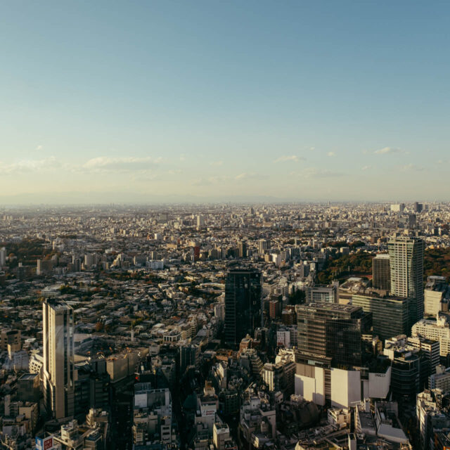 tokyo from above vi by robert mangelmann | 20231129tokyo_051