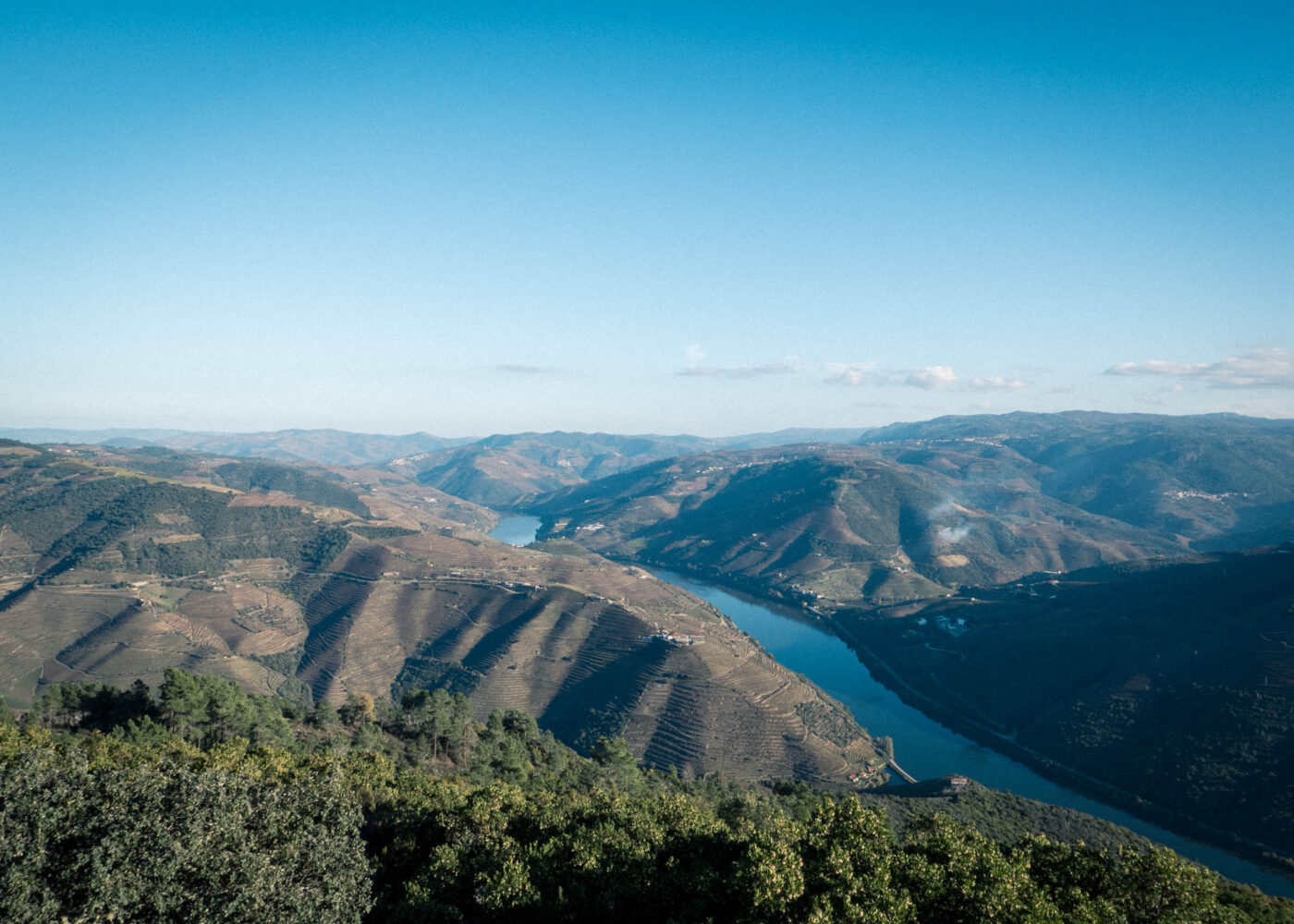 douro valley view v by robert mangelmann | 20241105douro_241